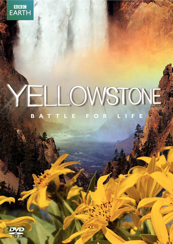 yellowstone theme song download mp3